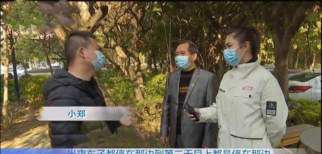 妻子婚后每周出差，程序员丈夫起疑暗中调查，发现真相如遭雷击