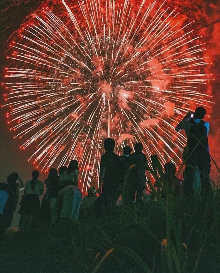花火(花火视频免费追剧app下载)