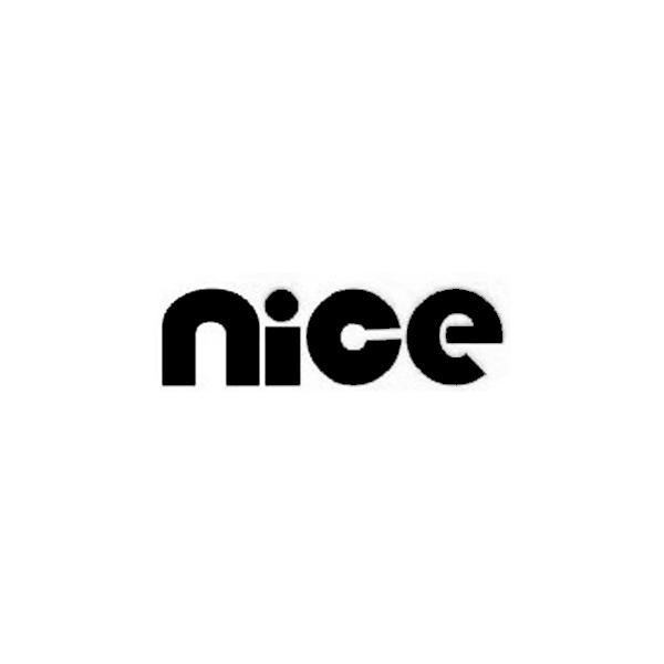 NICEX(nice兄弟是什么意思)