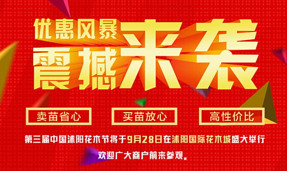 盛大合约(盛大合约平台)