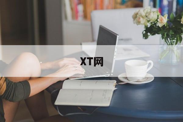 XT网(XT网下载)